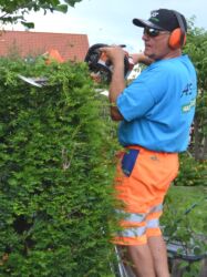 Sommerschnitt gefällig?