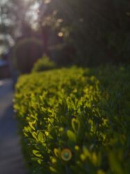 Ordentlich und gerade - Schaut das nicht toll aus?